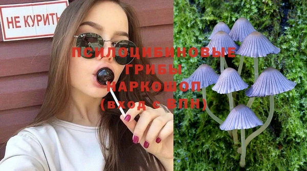 2c-b Армянск